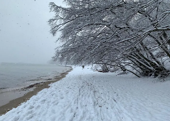 Cisza & Spoko! - Acco Rent Gdynia